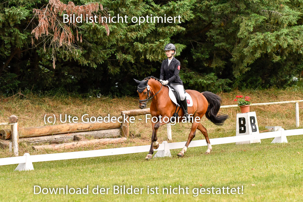 Goldene Schärpe Ponys in Hohenberg Krusemark 2024 | 12072024 Dressur _0086 