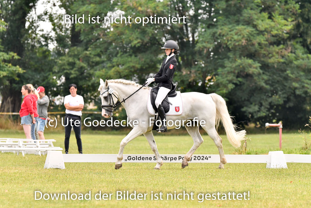 Goldene Schärpe Ponys in Hohenberg Krusemark 2024 | 12072024 Dressur _0088 