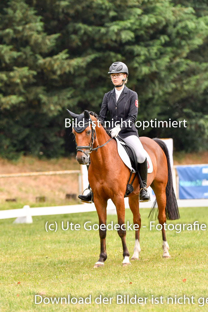 Goldene Schärpe Ponys in Hohenberg Krusemark 2024 | 12072024 Dressur _0093