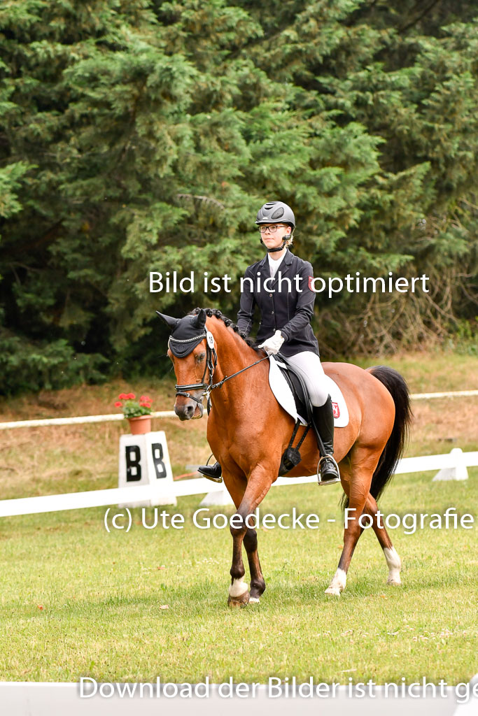 Goldene Schärpe Ponys in Hohenberg Krusemark 2024 | 12072024 Dressur _0094 