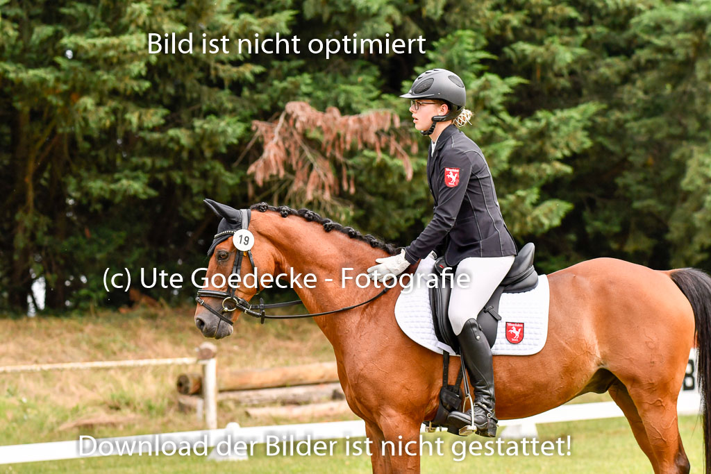 Goldene Schärpe Ponys in Hohenberg Krusemark 2024 | 12072024 Dressur _0095 