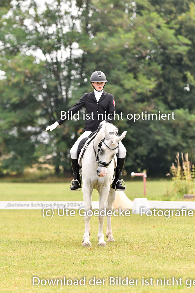 Goldene Schärpe Ponys in Hohenberg Krusemark 2024 | 12072024 Dressur _0099 