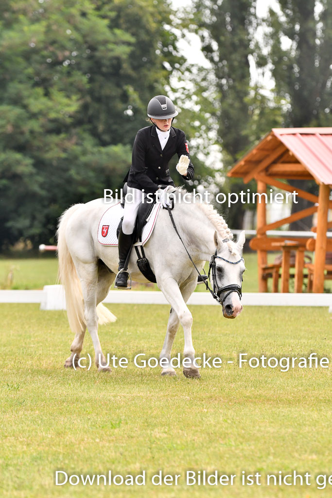 Goldene Schärpe Ponys in Hohenberg Krusemark 2024 | 12072024 Dressur _0100 