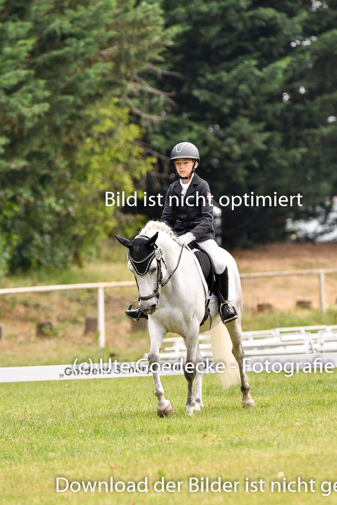 Goldene Schärpe Ponys in Hohenberg Krusemark 2024 | 12072024 Dressur _0101 