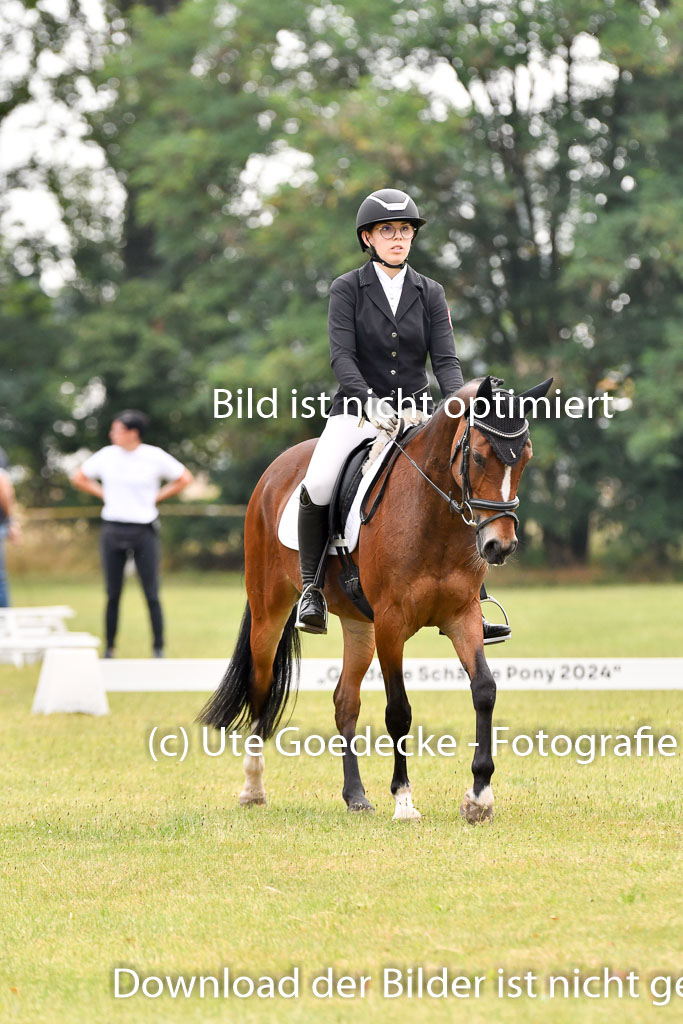 Goldene Schärpe Ponys in Hohenberg Krusemark 2024 | 12072024 Dressur _0102 