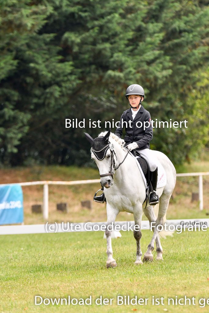 Goldene Schärpe Ponys in Hohenberg Krusemark 2024 | 12072024 Dressur _0103 