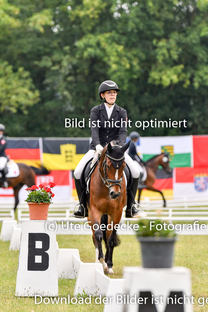 Goldene Schärpe Ponys in Hohenberg Krusemark 2024 | 12072024 Dressur _0106 