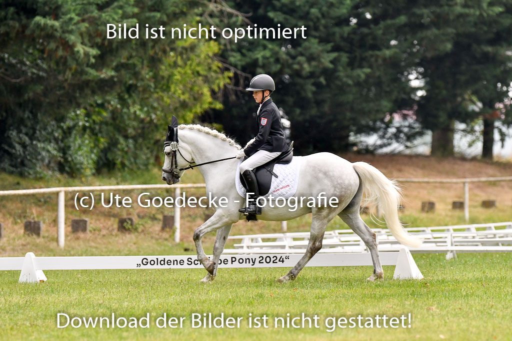 Goldene Schärpe Ponys in Hohenberg Krusemark 2024 | 12072024 Dressur _0112 