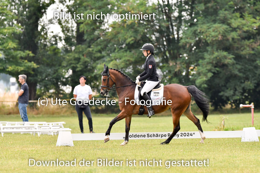 Goldene Schärpe Ponys in Hohenberg Krusemark 2024 | 12072024 Dressur _0117 