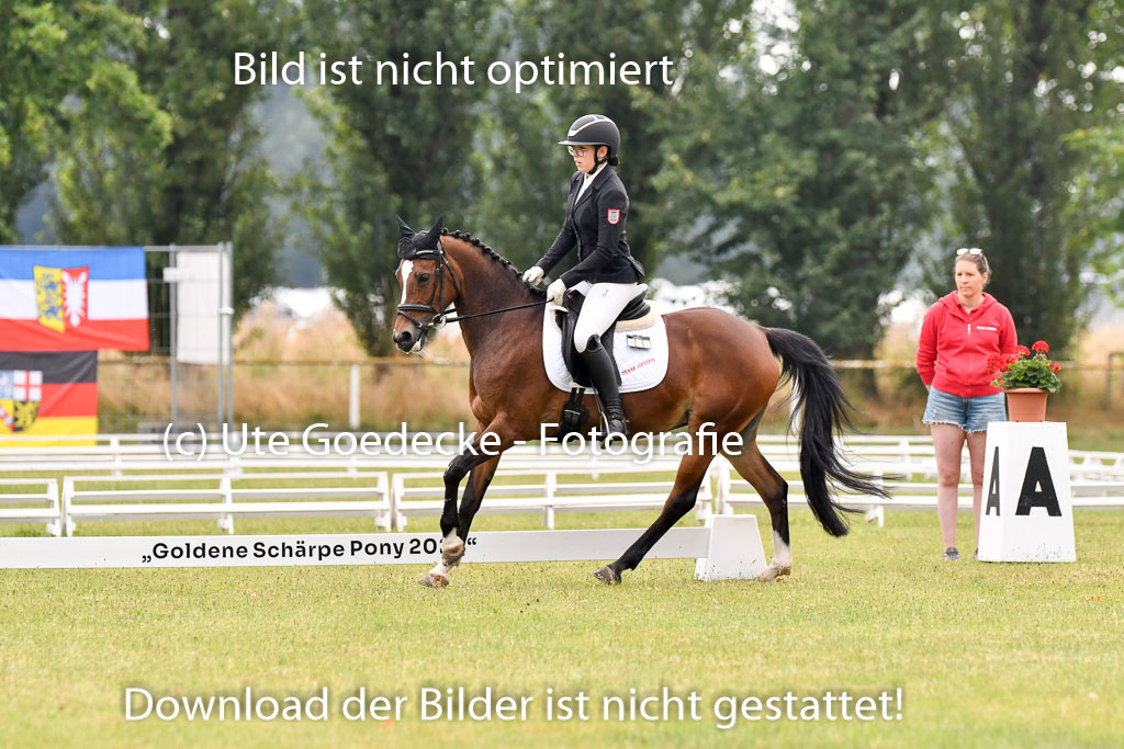 Goldene Schärpe Ponys in Hohenberg Krusemark 2024 | 12072024 Dressur _0118 