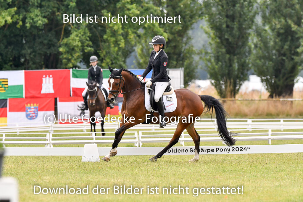 Goldene Schärpe Ponys in Hohenberg Krusemark 2024 | 12072024 Dressur _0119 