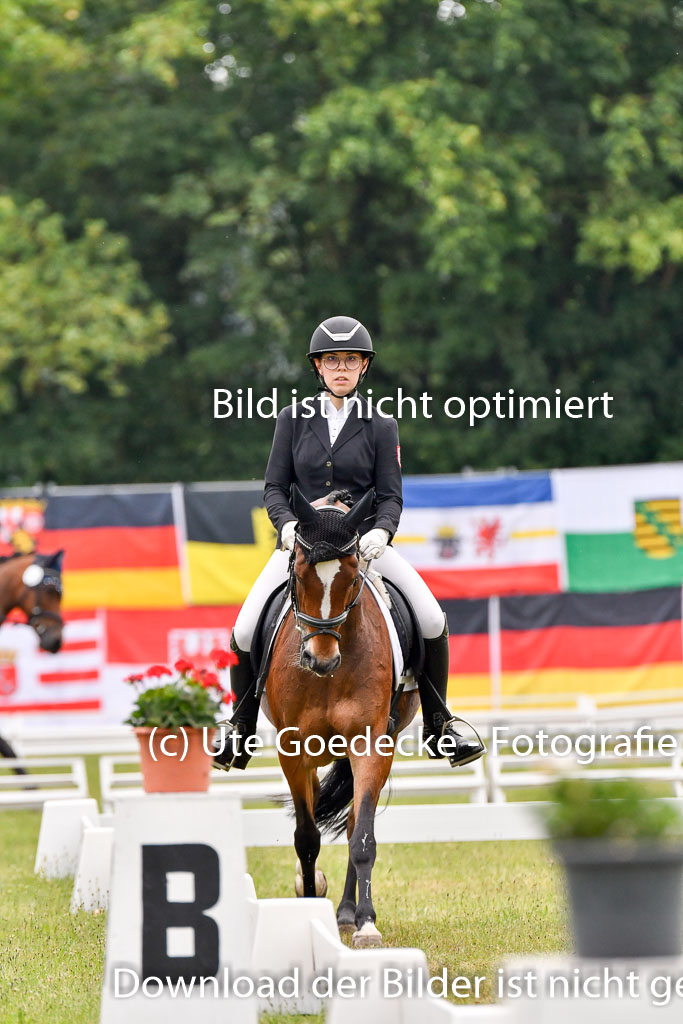 Goldene Schärpe Ponys in Hohenberg Krusemark 2024 | 12072024 Dressur _0120 