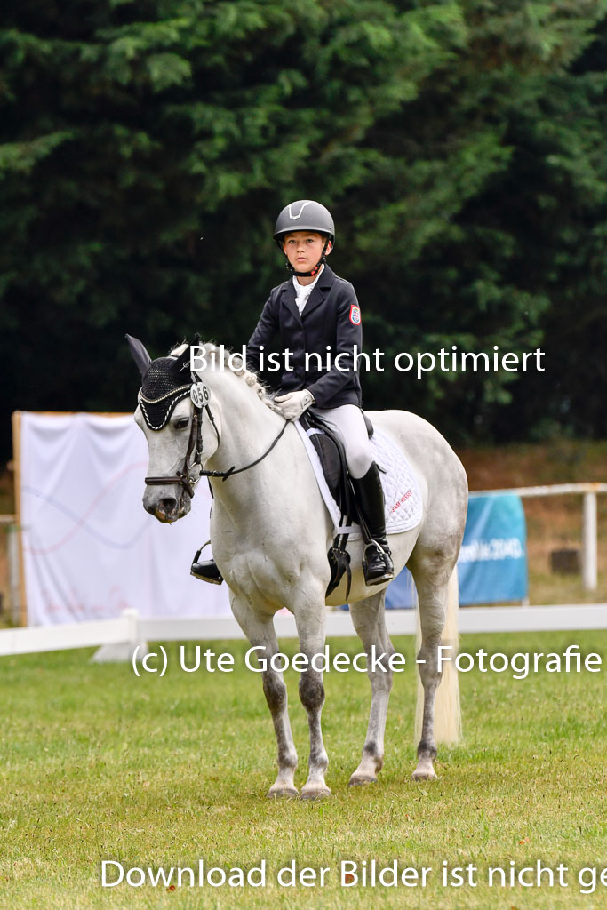 Goldene Schärpe Ponys in Hohenberg Krusemark 2024 | 12072024 Dressur _0121 