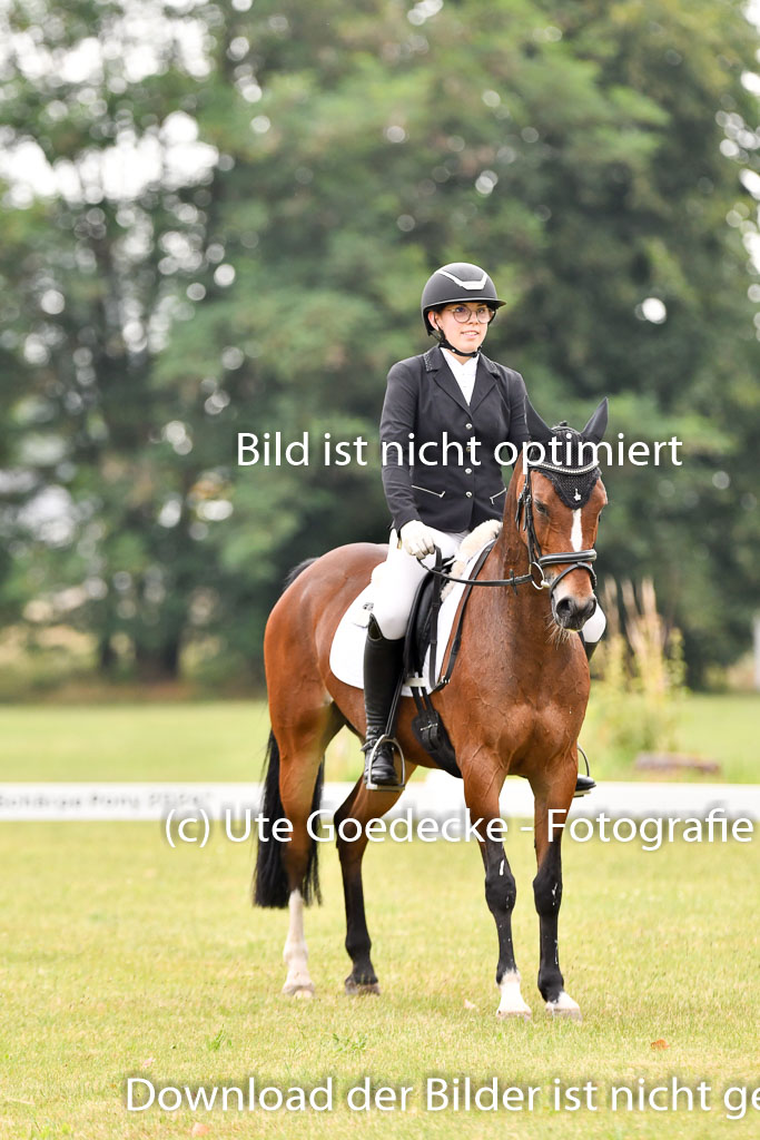 Goldene Schärpe Ponys in Hohenberg Krusemark 2024 | 12072024 Dressur _0122 