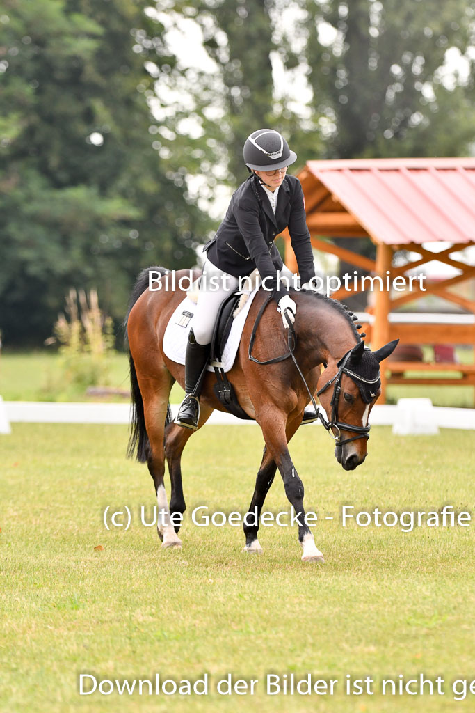 Goldene Schärpe Ponys in Hohenberg Krusemark 2024 | 12072024 Dressur _0124 