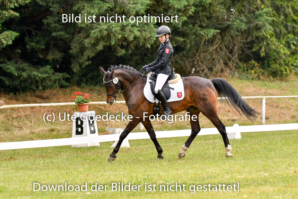 Goldene Schärpe Ponys in Hohenberg Krusemark 2024 | 12072024 Dressur _0126 