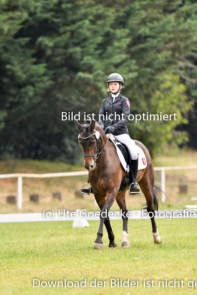 Goldene Schärpe Ponys in Hohenberg Krusemark 2024 | 12072024 Dressur _0127 