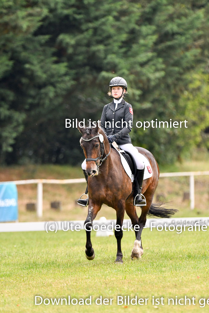 Goldene Schärpe Ponys in Hohenberg Krusemark 2024 | 12072024 Dressur _0128 