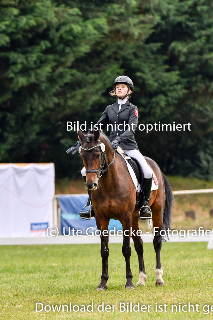 Goldene Schärpe Ponys in Hohenberg Krusemark 2024 | 12072024 Dressur _0129 