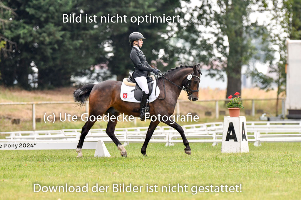 Goldene Schärpe Ponys in Hohenberg Krusemark 2024 | 12072024 Dressur _0130 