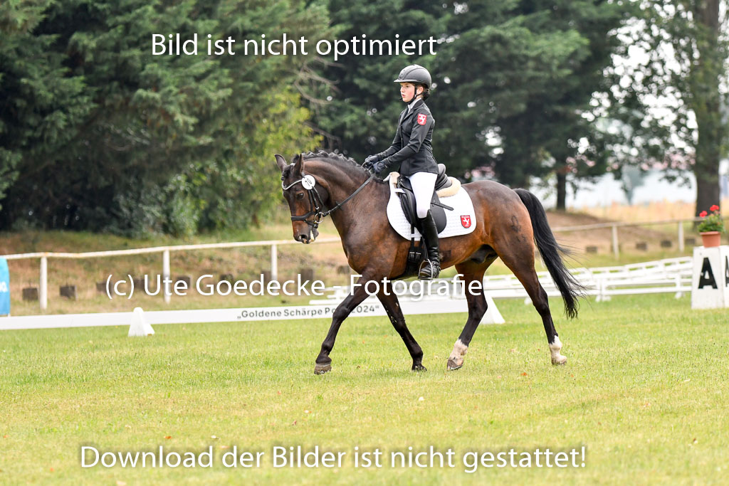 Goldene Schärpe Ponys in Hohenberg Krusemark 2024 | 12072024 Dressur _0131
