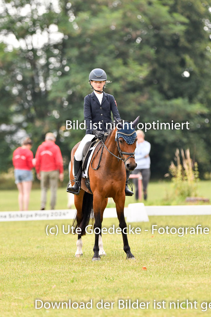 Goldene Schärpe Ponys in Hohenberg Krusemark 2024 | 12072024 Dressur _0135