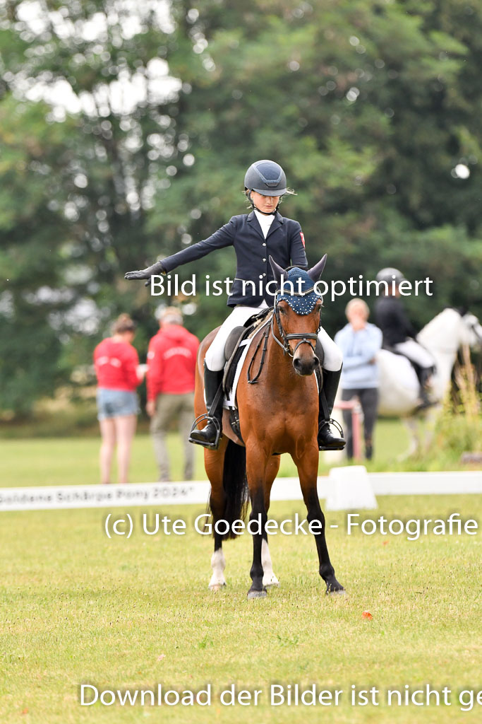 Goldene Schärpe Ponys in Hohenberg Krusemark 2024 | 12072024 Dressur _0136
