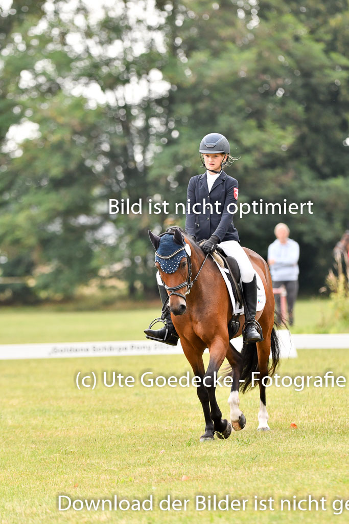 Goldene Schärpe Ponys in Hohenberg Krusemark 2024 | 12072024 Dressur _0137