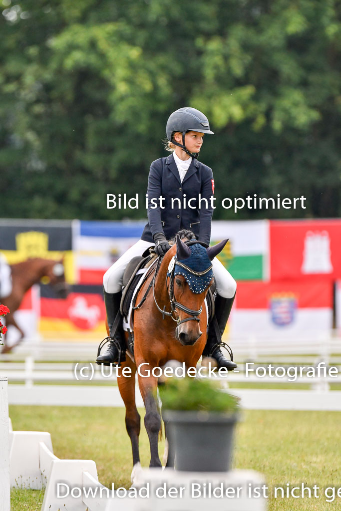 Goldene Schärpe Ponys in Hohenberg Krusemark 2024 | 12072024 Dressur _0138