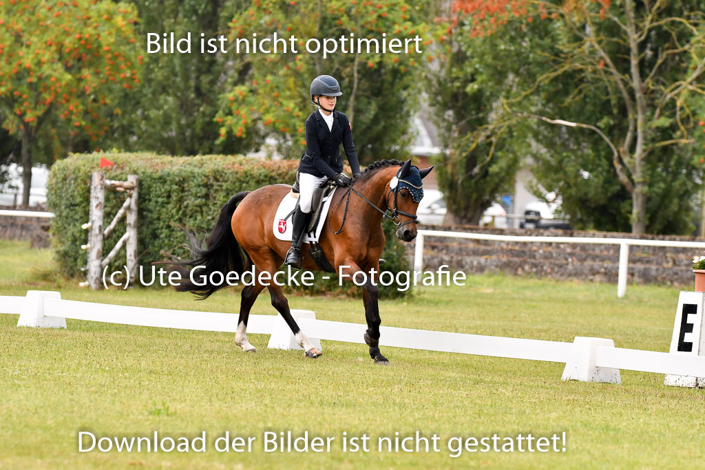 Goldene Schärpe Ponys in Hohenberg Krusemark 2024 | 12072024 Dressur _0141