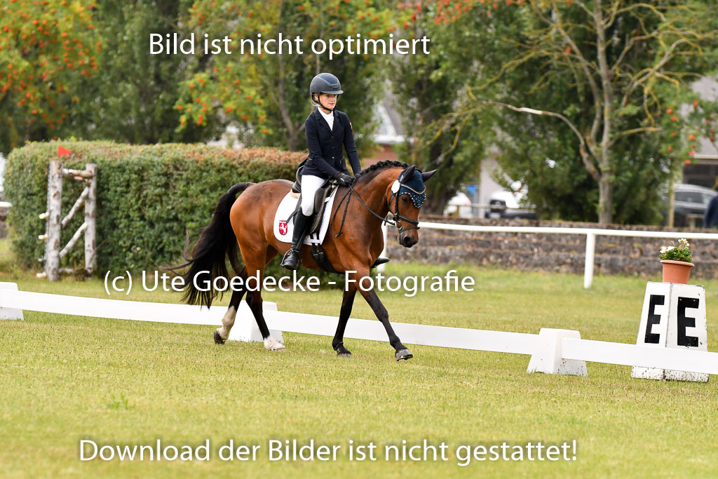 Goldene Schärpe Ponys in Hohenberg Krusemark 2024 | 12072024 Dressur _0142