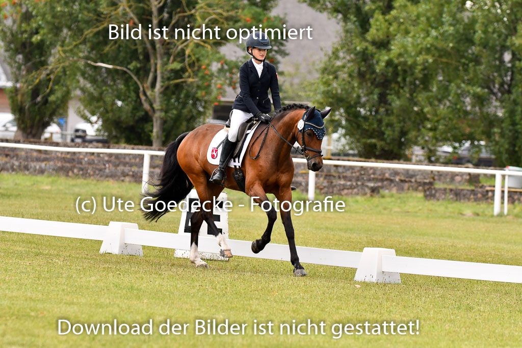 Goldene Schärpe Ponys in Hohenberg Krusemark 2024 | 12072024 Dressur _0143