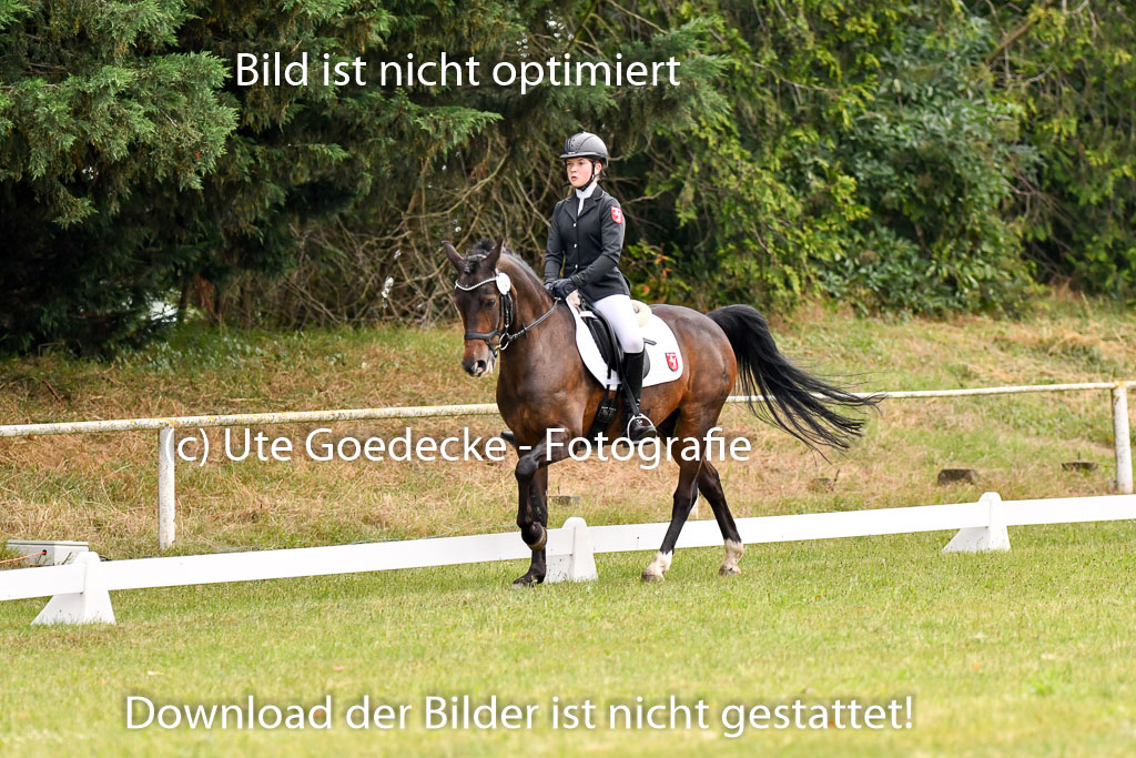 Goldene Schärpe Ponys in Hohenberg Krusemark 2024 | 12072024 Dressur _0144