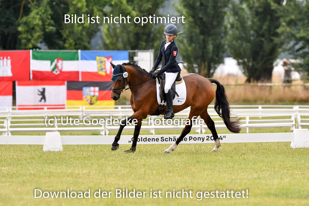 Goldene Schärpe Ponys in Hohenberg Krusemark 2024 | 12072024 Dressur _0148