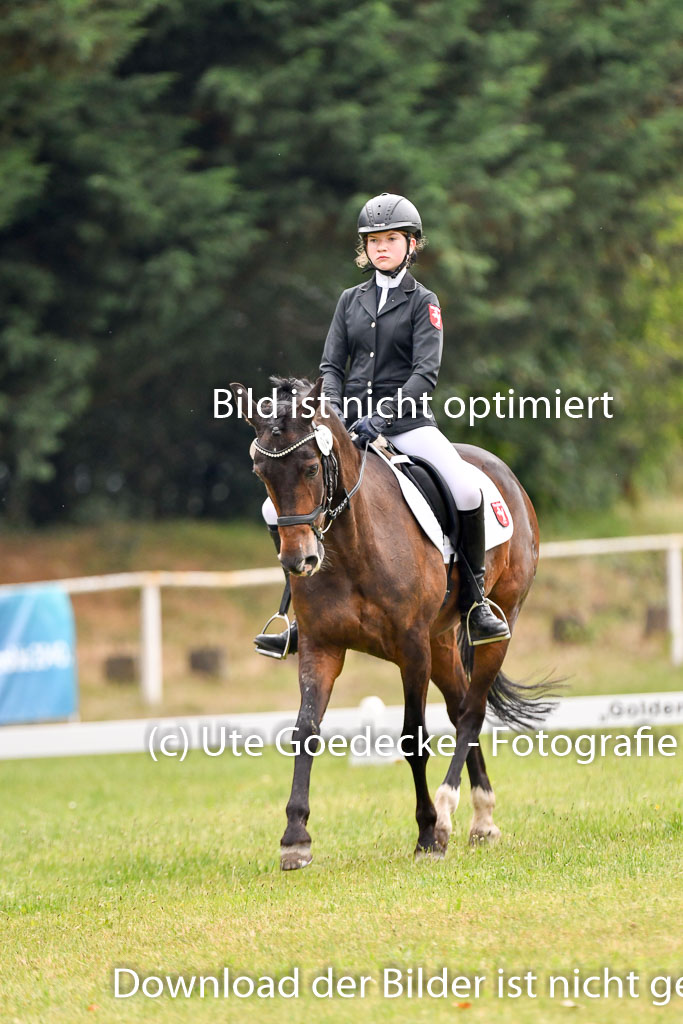 Goldene Schärpe Ponys in Hohenberg Krusemark 2024 | 12072024 Dressur _0151