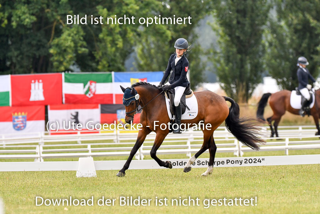 Goldene Schärpe Ponys in Hohenberg Krusemark 2024 | 12072024 Dressur _0152