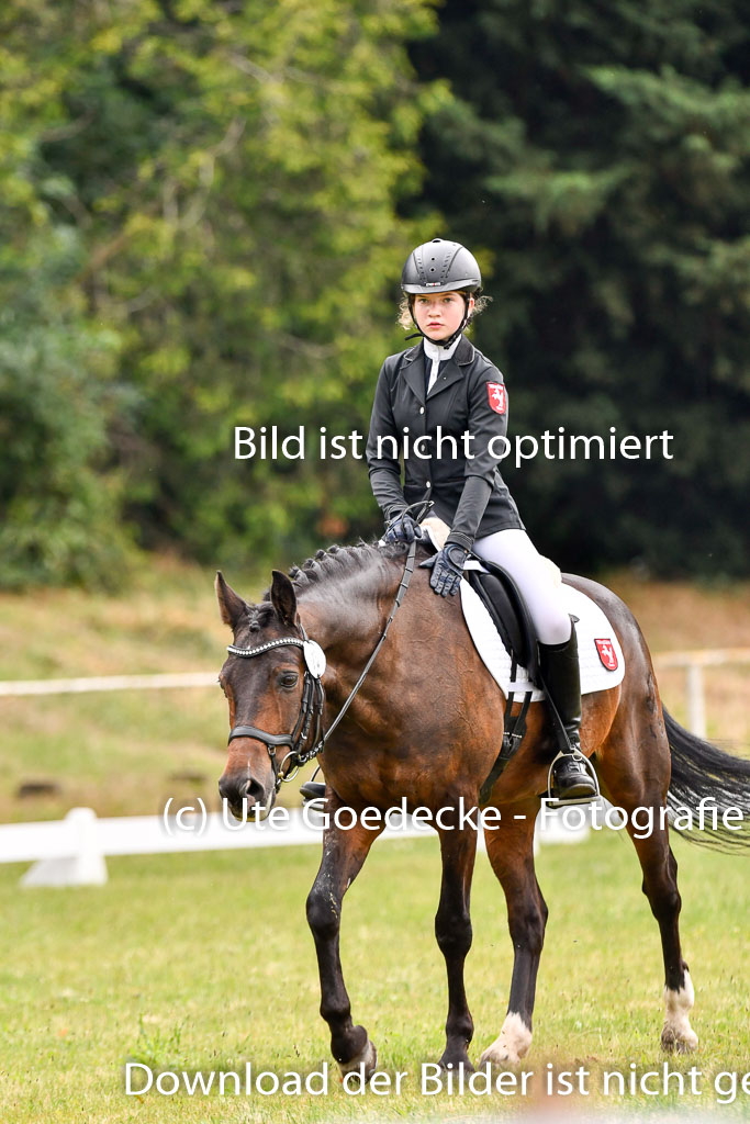Goldene Schärpe Ponys in Hohenberg Krusemark 2024 | 12072024 Dressur _0154