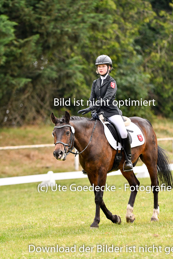 Goldene Schärpe Ponys in Hohenberg Krusemark 2024 | 12072024 Dressur _0155