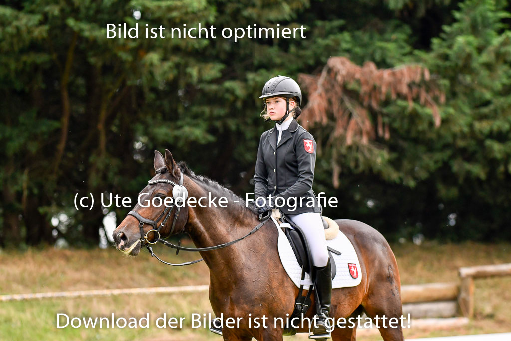 Goldene Schärpe Ponys in Hohenberg Krusemark 2024 | 12072024 Dressur _0156