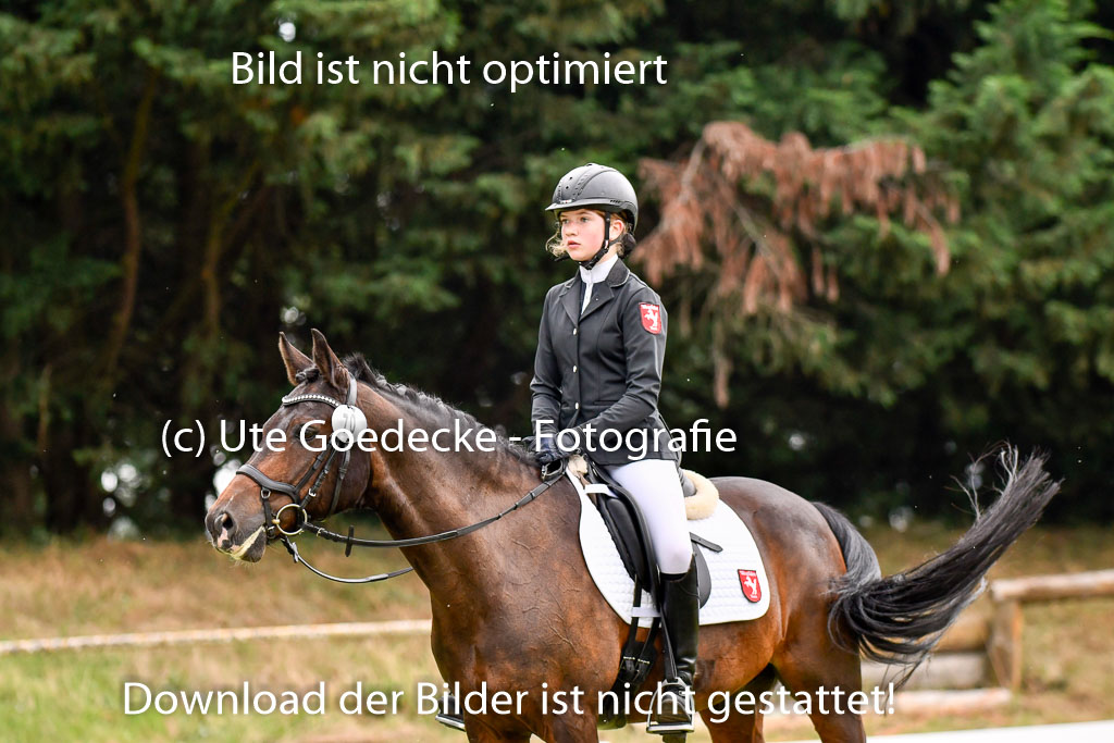 Goldene Schärpe Ponys in Hohenberg Krusemark 2024 | 12072024 Dressur _0157