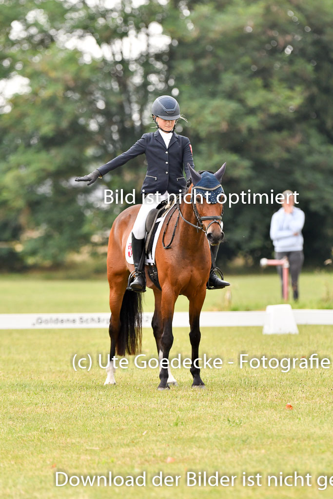 Goldene Schärpe Ponys in Hohenberg Krusemark 2024 | 12072024 Dressur _0160