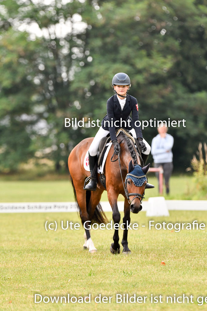 Goldene Schärpe Ponys in Hohenberg Krusemark 2024 | 12072024 Dressur _0161