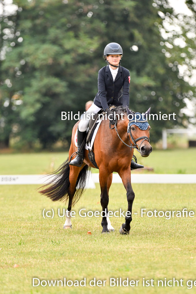 Goldene Schärpe Ponys in Hohenberg Krusemark 2024 | 12072024 Dressur _0163