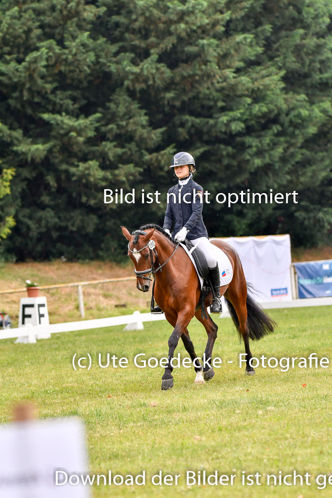 Goldene Schärpe Ponys in Hohenberg Krusemark 2024 | 12072024 Dressur _0168
