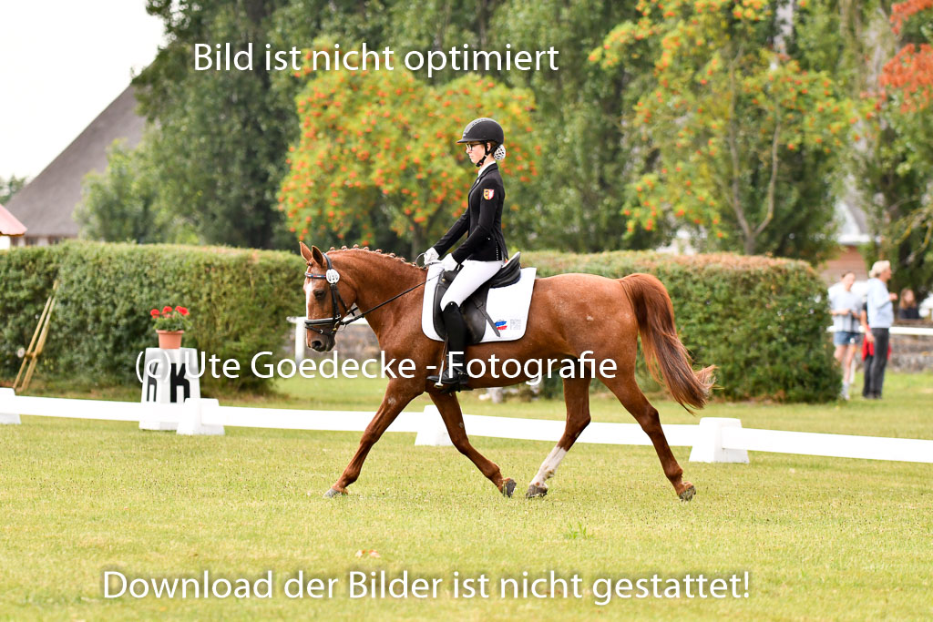Goldene Schärpe Ponys in Hohenberg Krusemark 2024 | 12072024 Dressur _0169