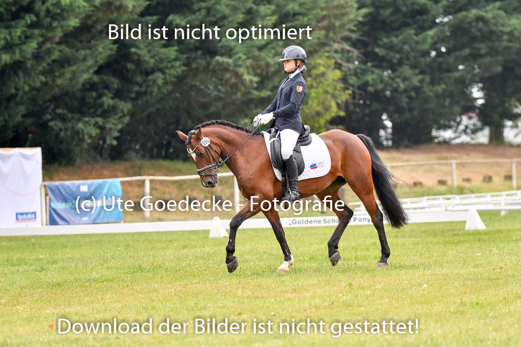 Goldene Schärpe Ponys in Hohenberg Krusemark 2024 | 12072024 Dressur _0170