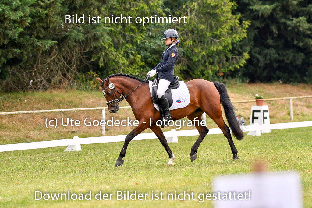 Goldene Schärpe Ponys in Hohenberg Krusemark 2024 | 12072024 Dressur _0171