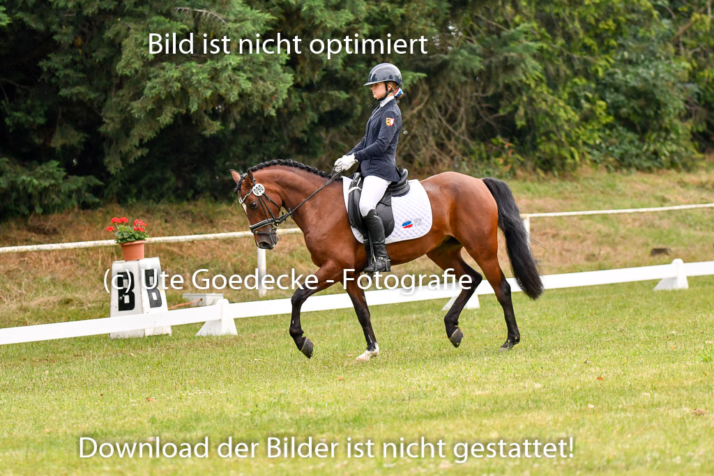 Goldene Schärpe Ponys in Hohenberg Krusemark 2024 | 12072024 Dressur _0172