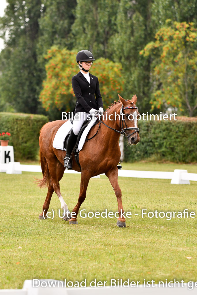 Goldene Schärpe Ponys in Hohenberg Krusemark 2024 | 12072024 Dressur _0175