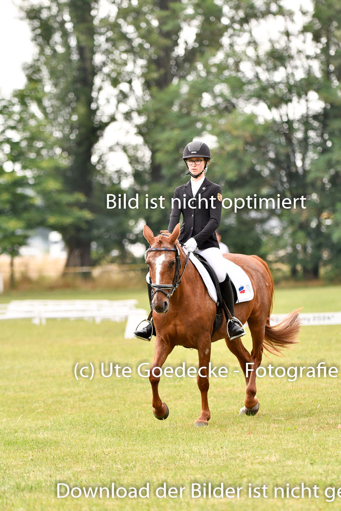 Goldene Schärpe Ponys in Hohenberg Krusemark 2024 | 12072024 Dressur _0176